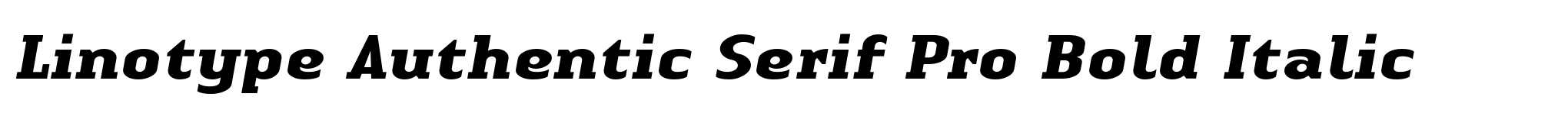 Linotype Authentic Serif Pro Bold Italic image